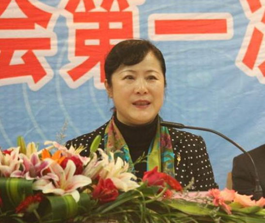 省僑聯(lián)主席董錦燕率省僑商會代表團出席第八屆豫商大會